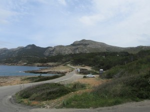 IMG_5851 (Medium)